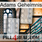 Adams Secret 17